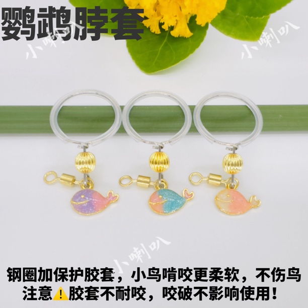 鹦鹉脖圈不锈钢栓鸟链子玄凤牡丹小太阳训鸟项圈和尚外出遛鸟脖套