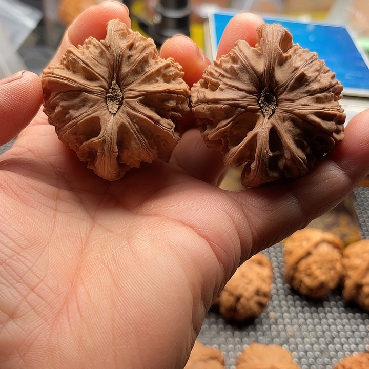 星***辰把件桃核球白边48
