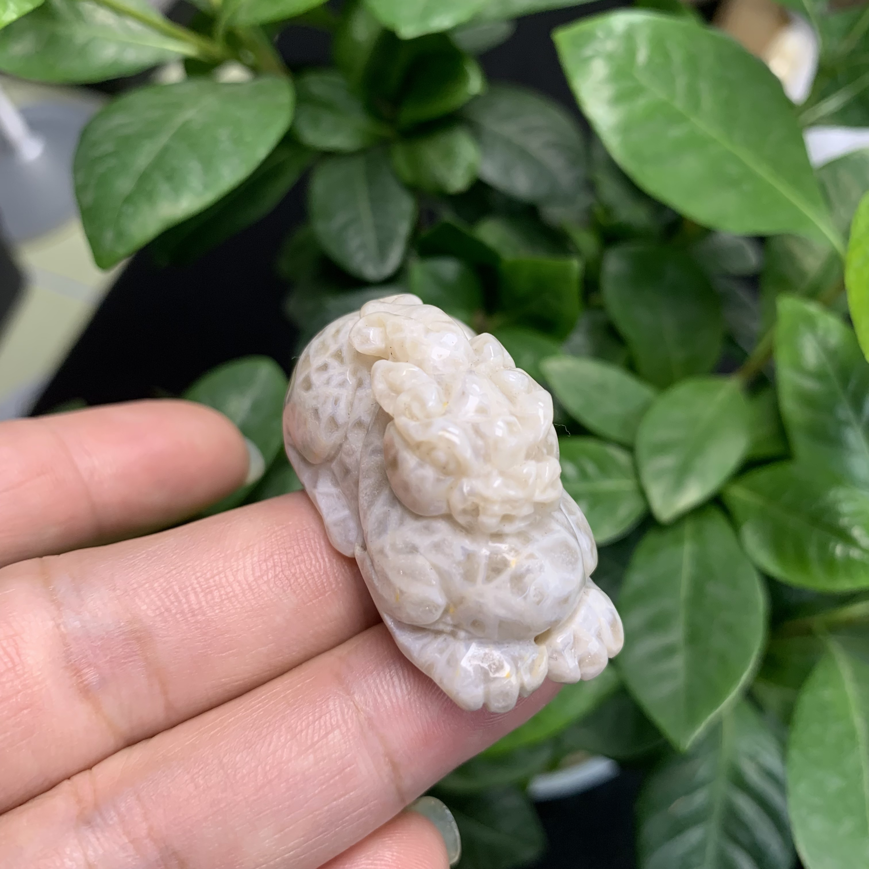 亿年花天然珊瑚玉白冰万花筒貔貅雕刻项坠挂件