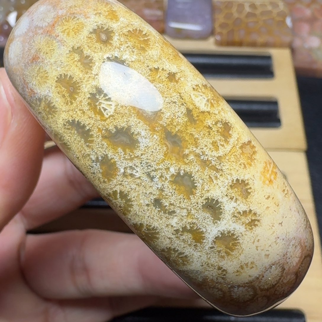 硅化玉纯天然色有机玉石未镶嵌55.5圈口