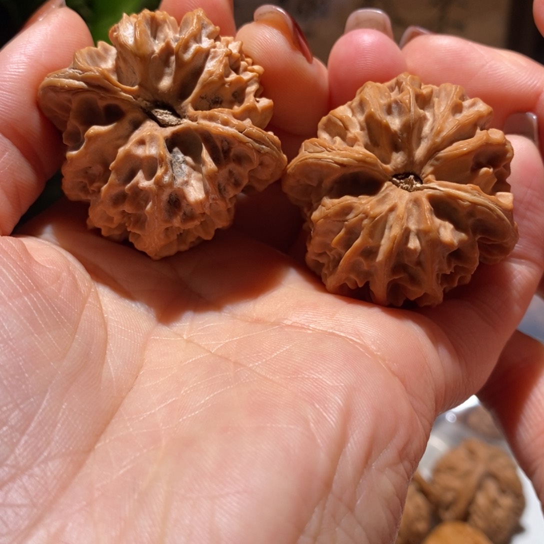 文玩核桃把件大龙40