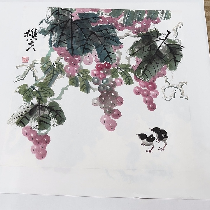 国画花鸟的翅膀和翅膀都