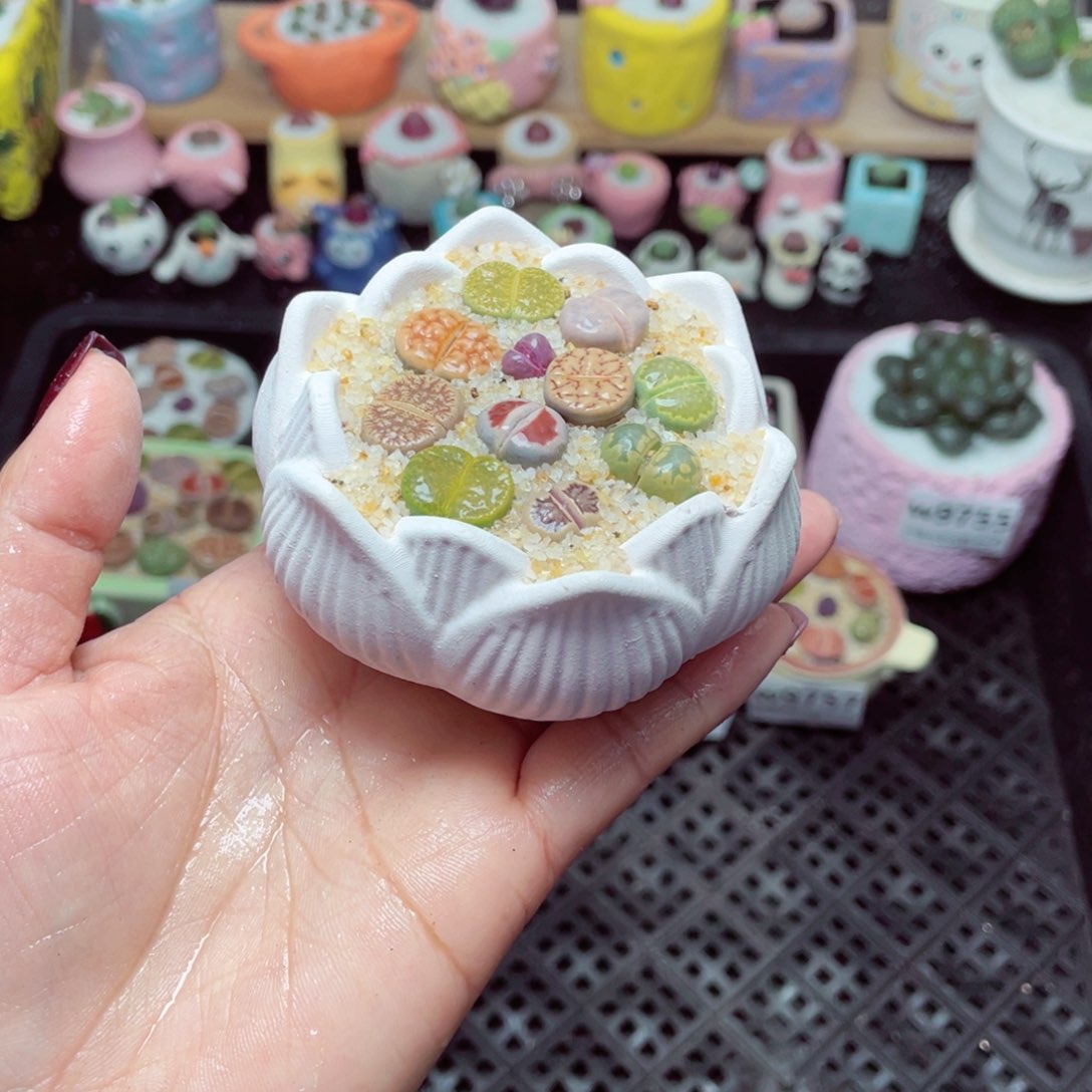 w9758 带盆土发货-零下地区拍保温箱