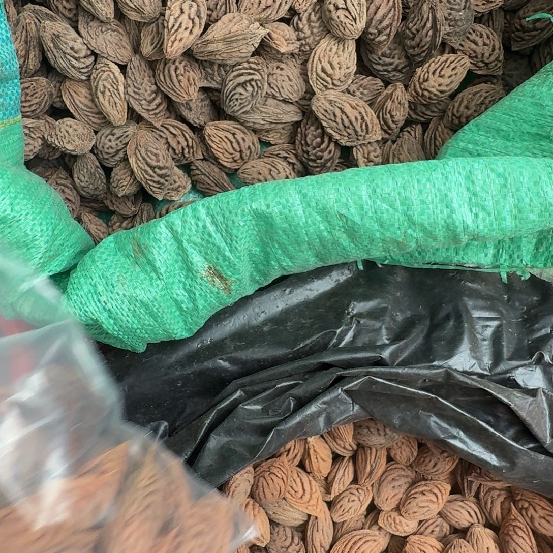 精品大长腿精挑35颗