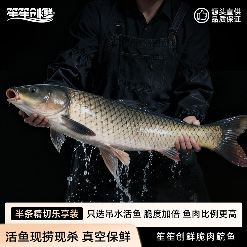 广东中山珍品脆肉鲩鱼（半条）选择重量切法现买现称现杀真空包顺丰