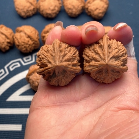 橄榄核手串/手链文山32全品