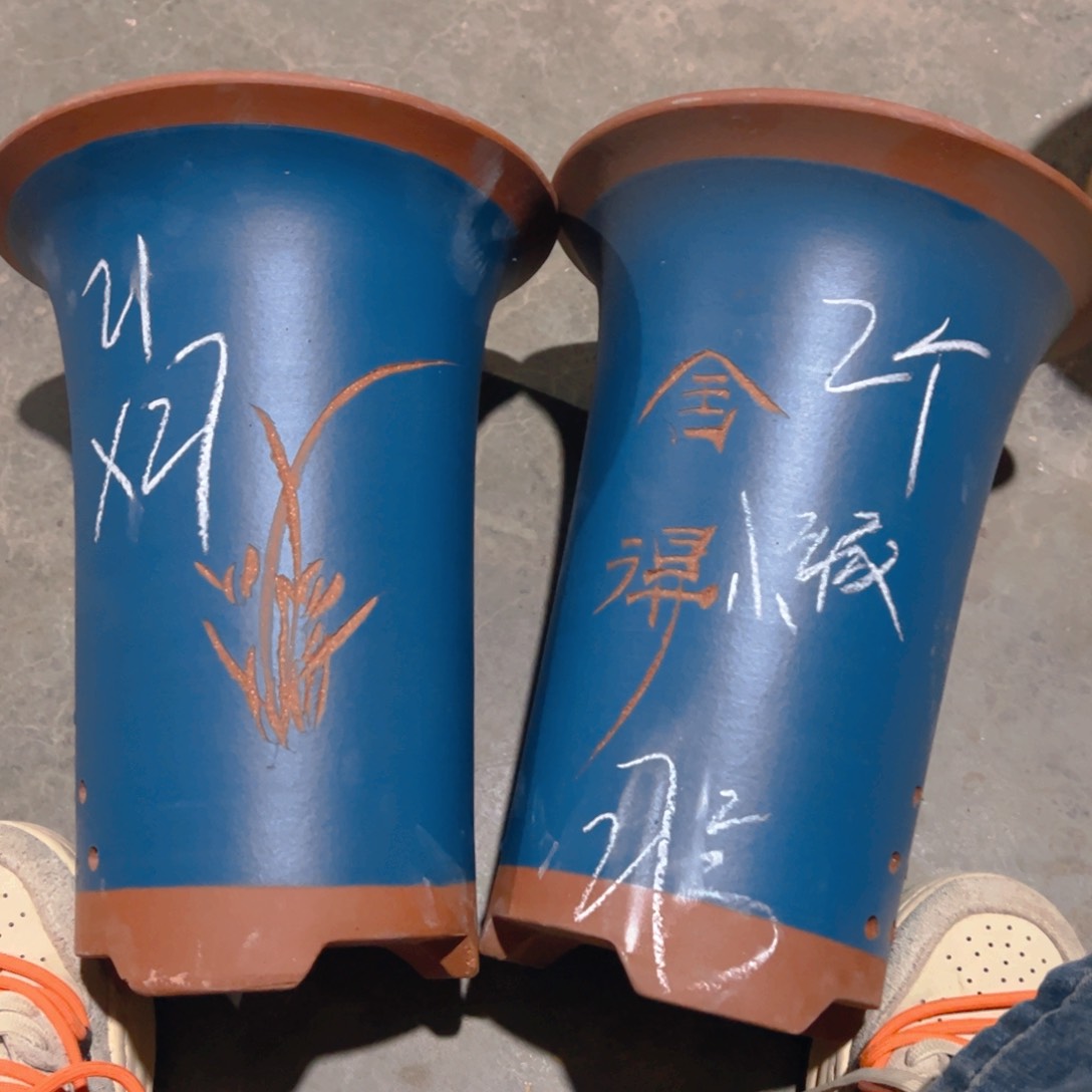紫砂27………………………………