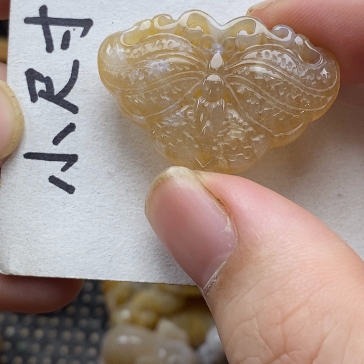 硅化珊瑚（珊瑚玉）未镶嵌颈饰