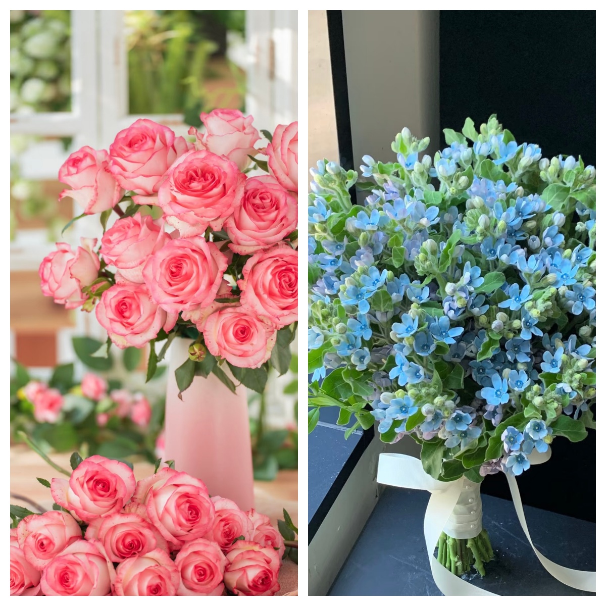 【艾莎10支+蓝星花 1扎】任意2单鲜花升级顺丰/德邦