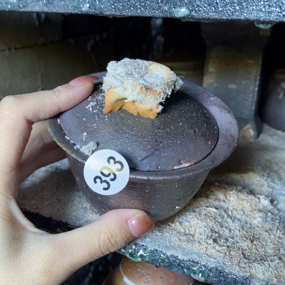 开窑大吉，高货多多393瑕