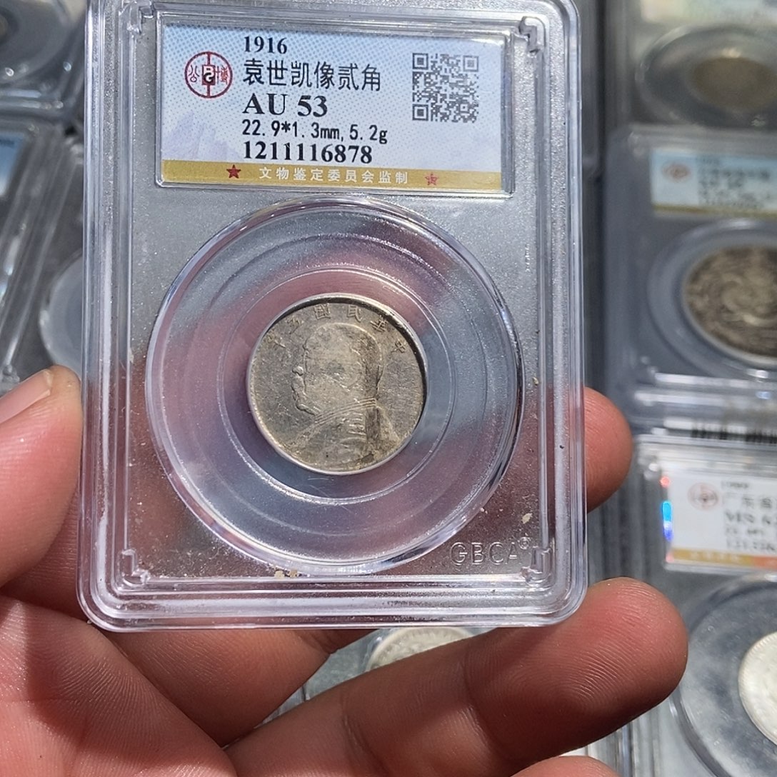 美***界银小董精选大头两角6878