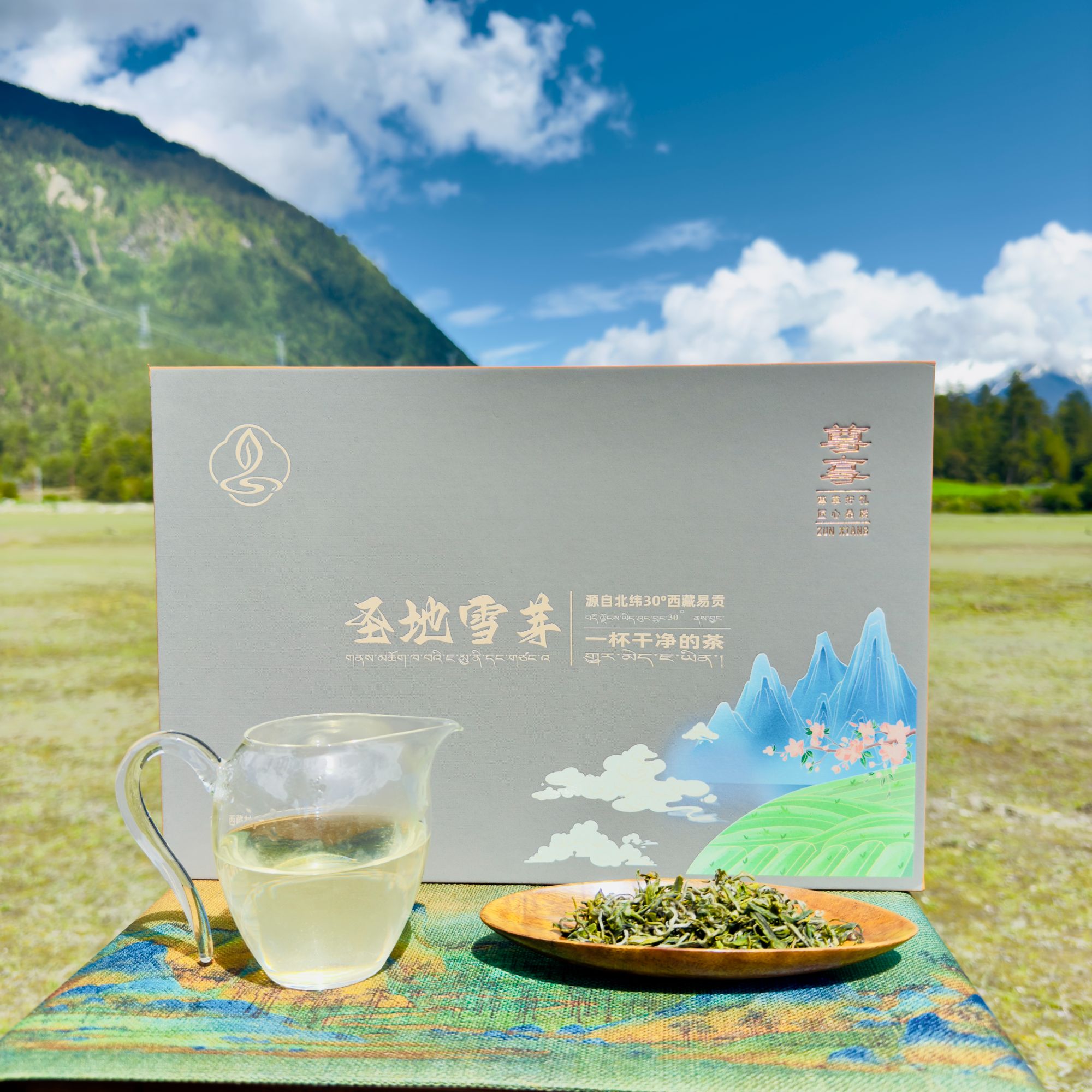 西藏林芝波密易贡尊享绿茶（圣地雪芽）高原绿茶