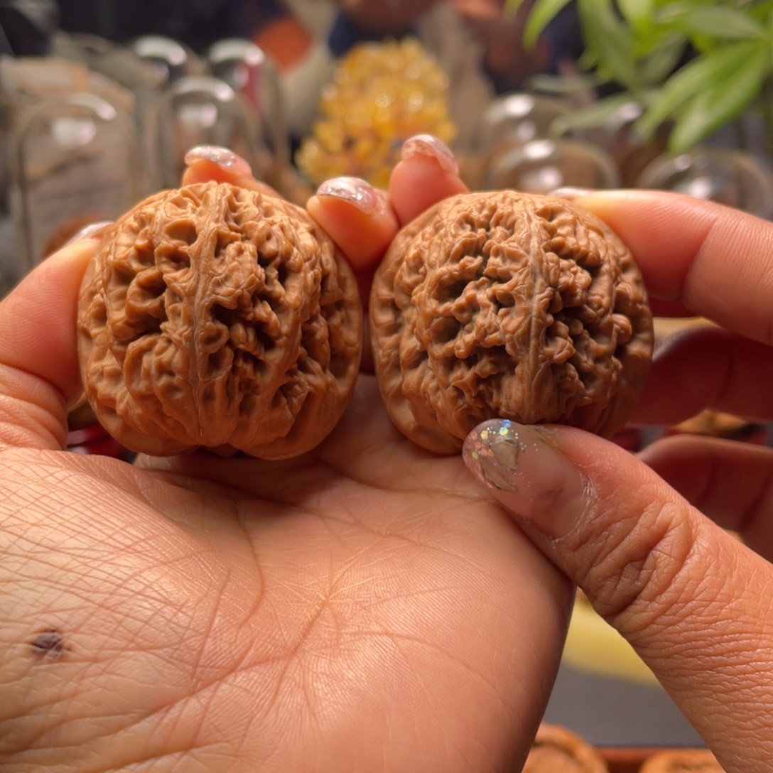 潍***装把件文玩核桃精粗筋42