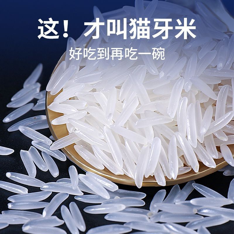 【买五斤送五斤到手十斤】正宗长粒香米猫牙米清香软糯健康生态大米