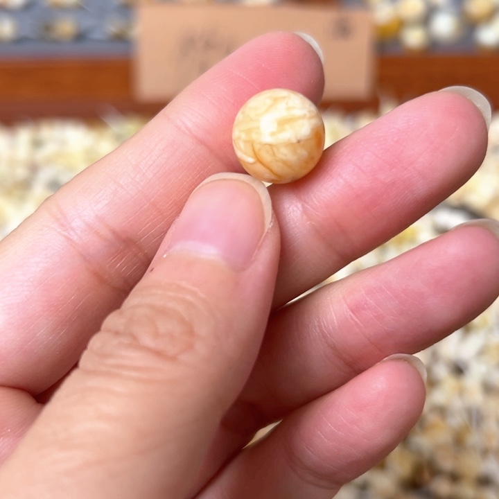 蜜蜡未镶嵌裸石12mm一个