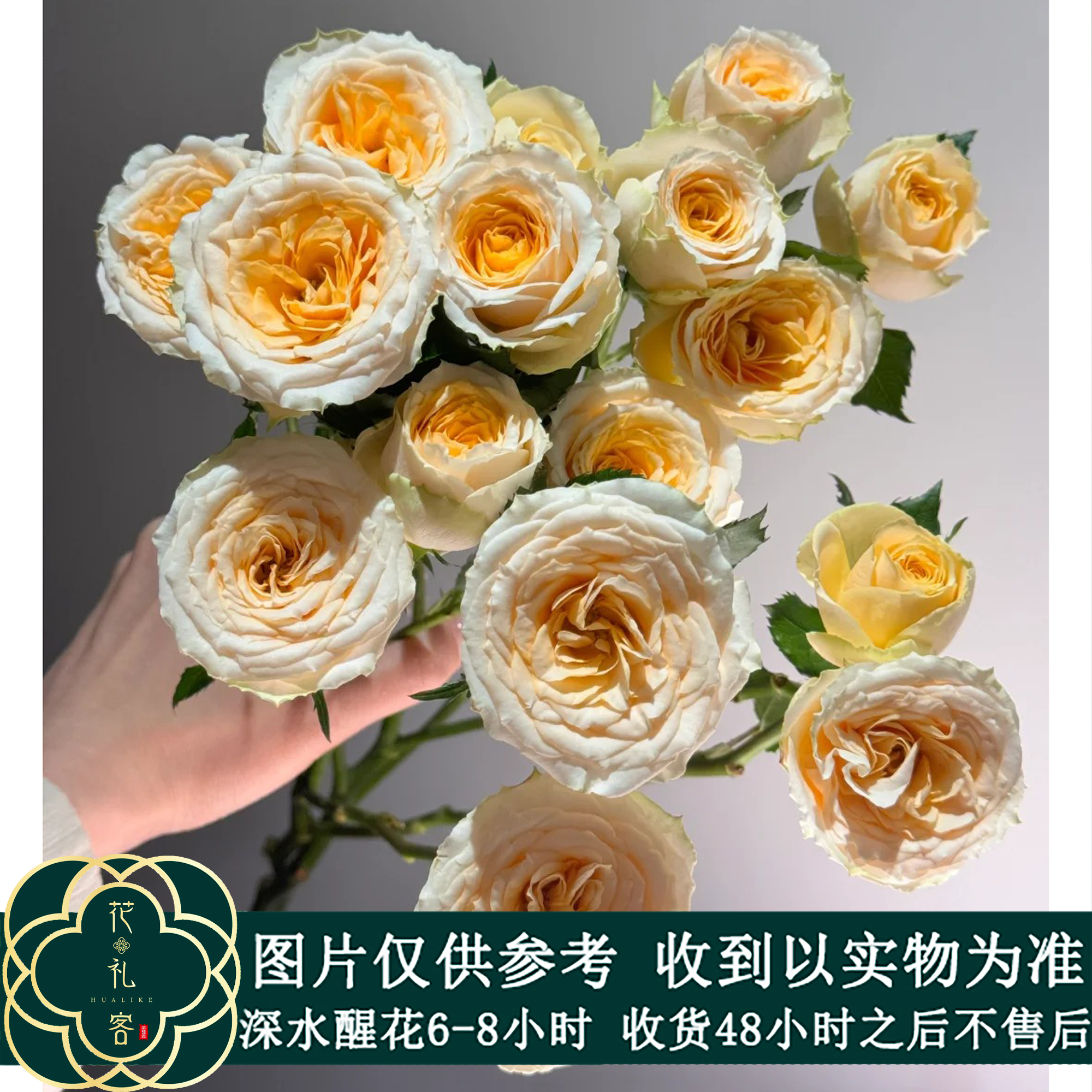 七叶花坊# 【芒果梦境-俏溪阳多头】高品质鲜花 顺丰直发