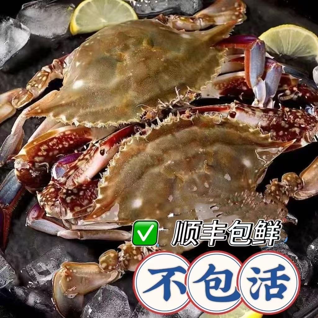 【保鲜不保活】5-7两舟山新鲜梭子蟹活发3斤装全母蟹5-7两5-8只