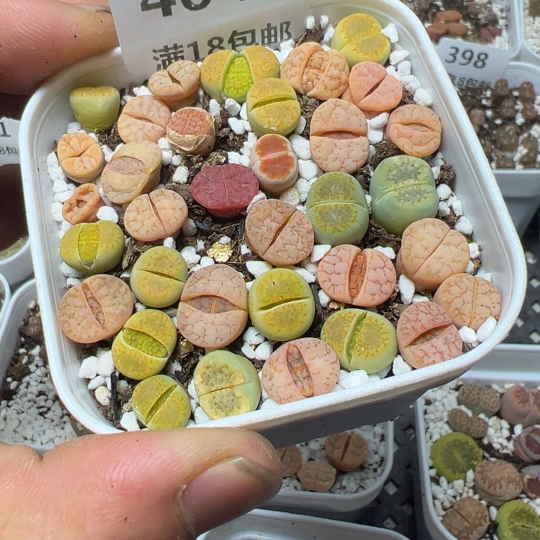 【闪购商品】 404。     