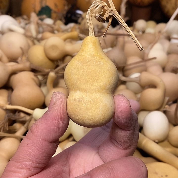 胖***刘精品葫芦手把葫芦83