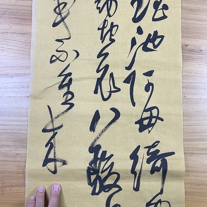 书法中书协会员作品