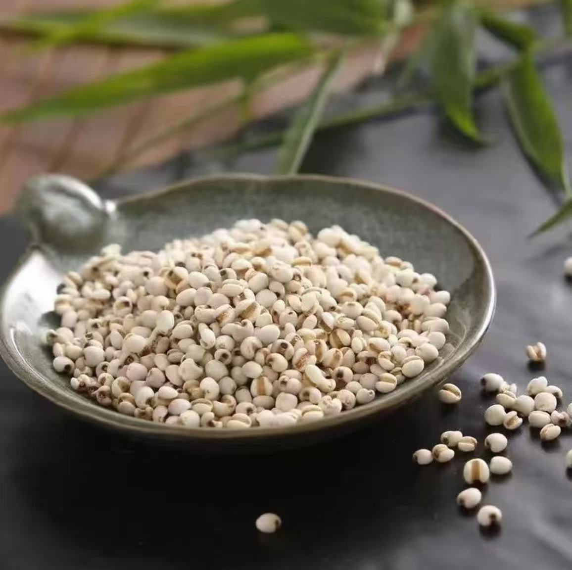 农家新货薏米煮粥煲汤