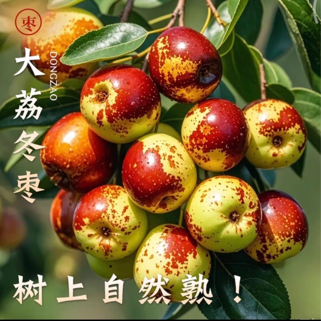 【应季鲜果】正宗陕西大荔冬枣脆甜枣新鲜大枣冰糖枣  顺丰直发