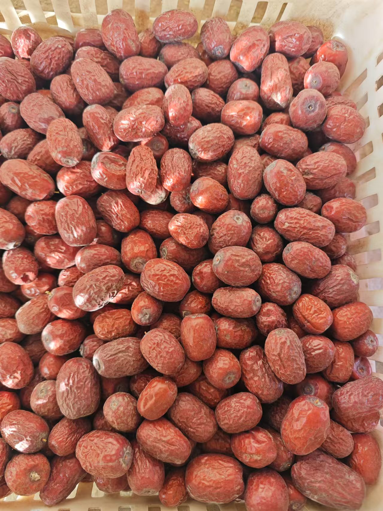 2025年新疆吊干灰枣7到9层干原生态不加工无清洗原产地直销包邮