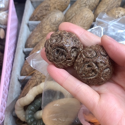 椰蒂吊坠?****6大鬼脸菩提