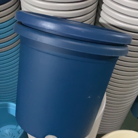 树脂四季4号藏青无托8个