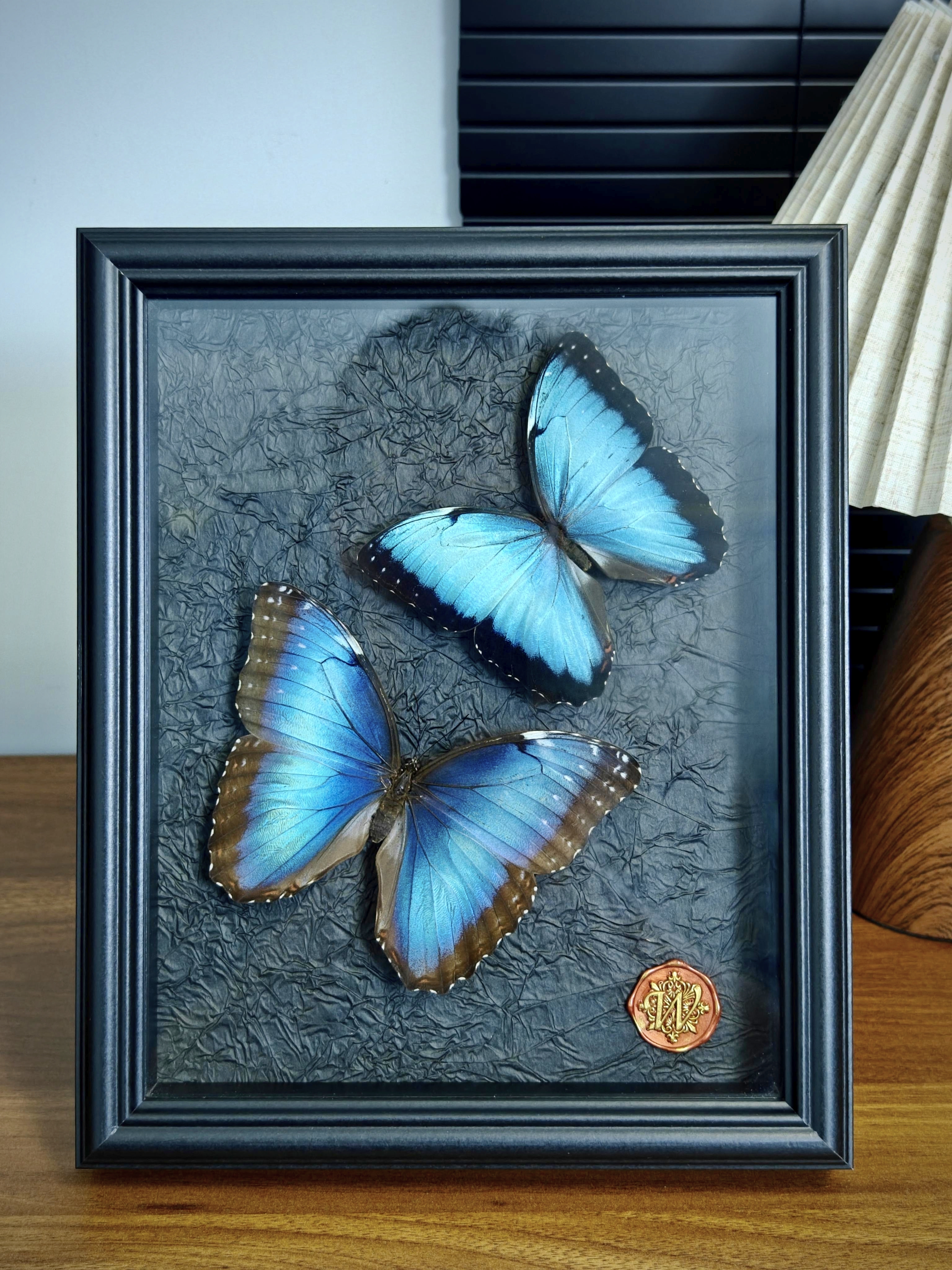 蓓蕾闪蝶雄雌一对 10寸木质艺术框家居摆件 惊喜爱人礼物