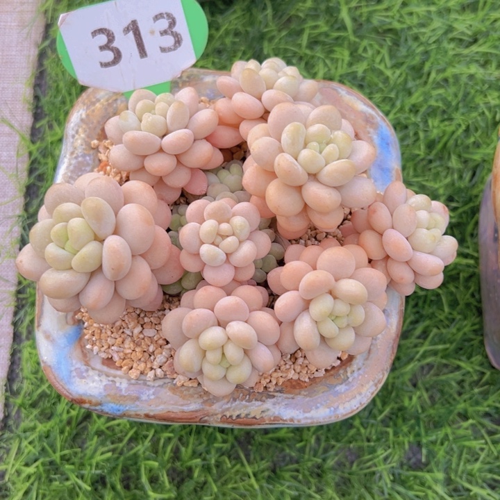 健健康康平平安安