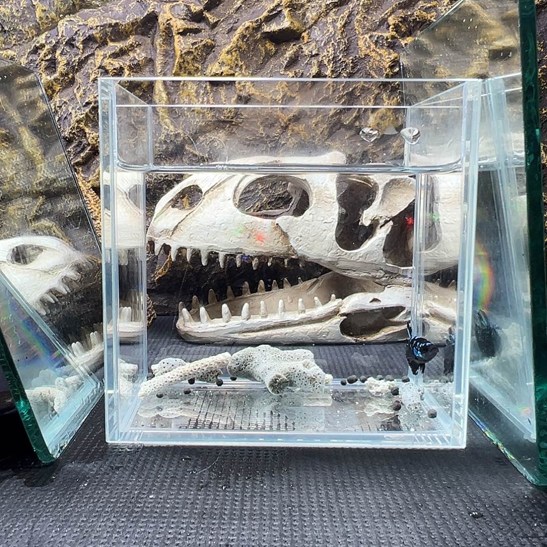 斗鱼精品精品精品精品精品