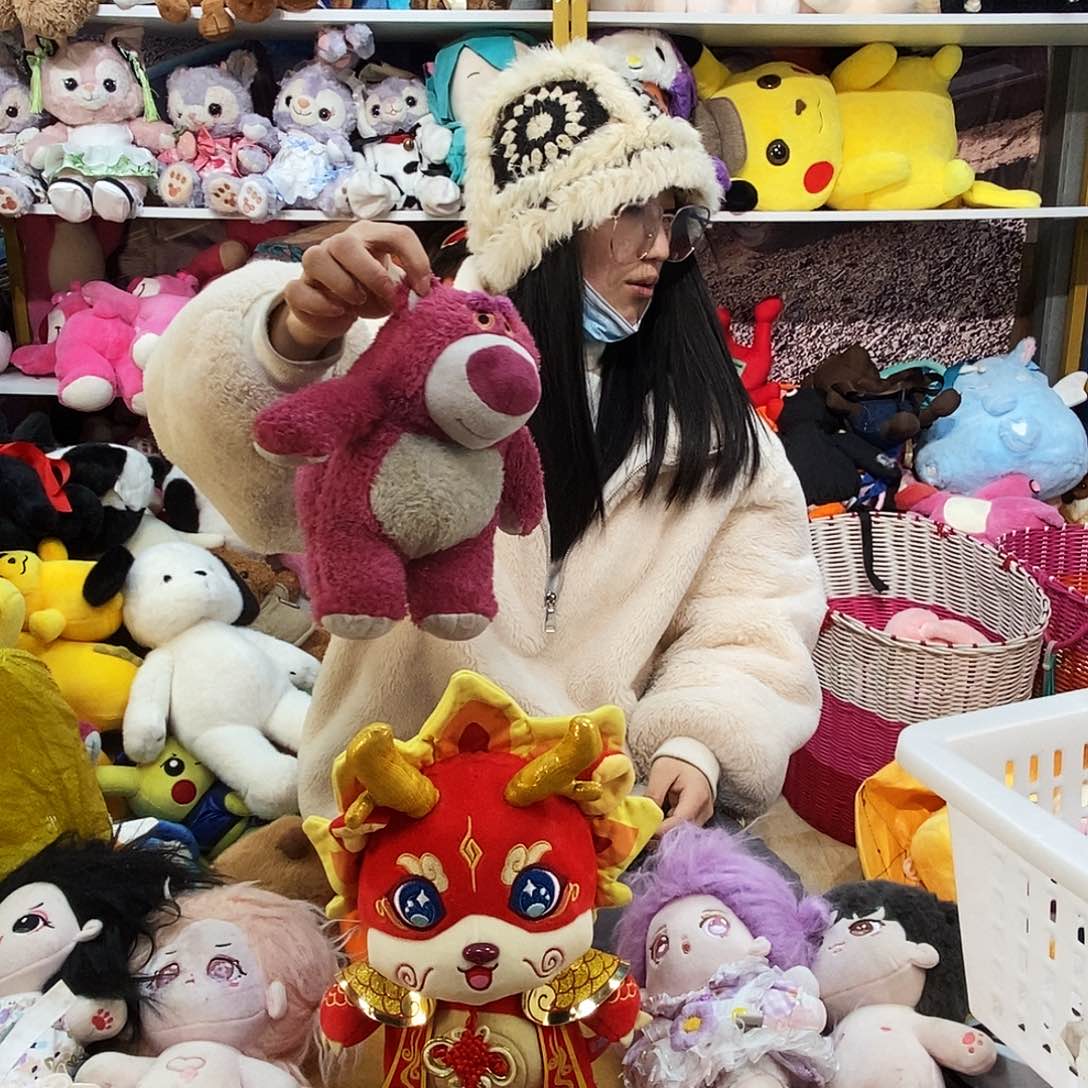 毛绒张*君毛绒玩具073