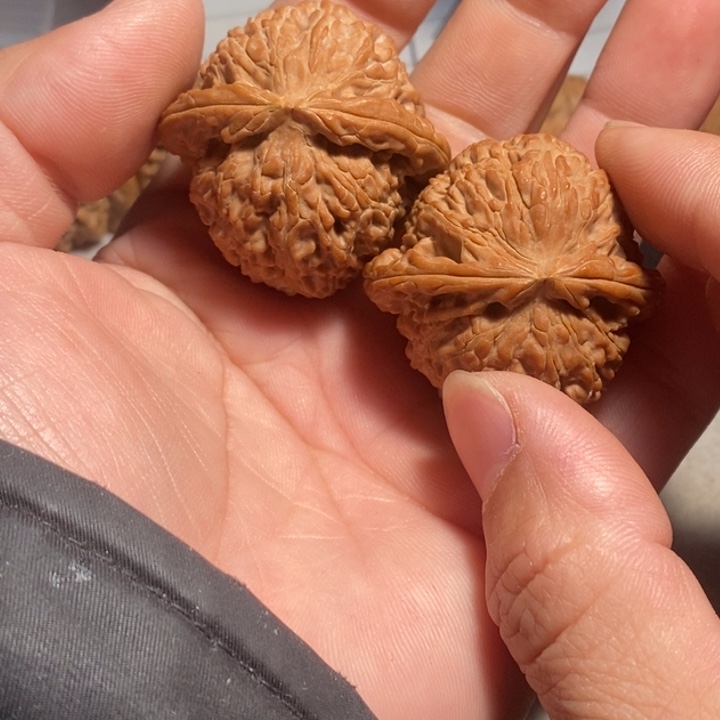 文玩核桃把件?***之核桃