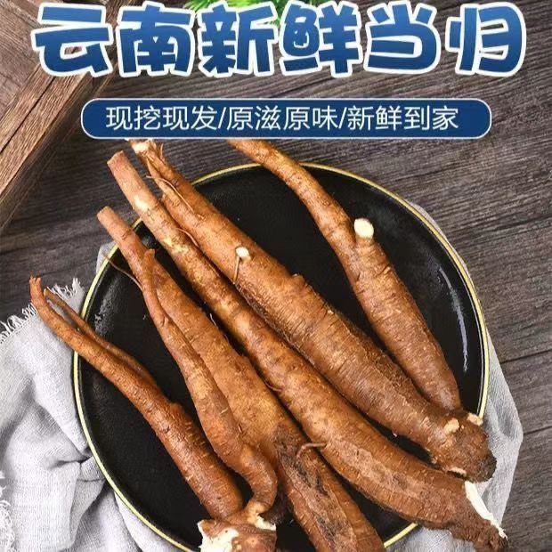 云南西归新鲜甜当归煲汤养生食材可炖鸡的补气补血药膳药食同源