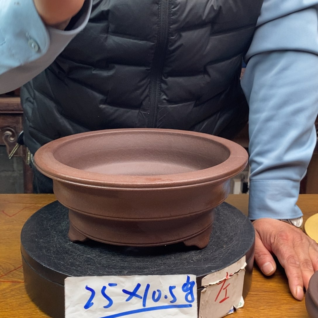 红陶货号一只ZJJ31