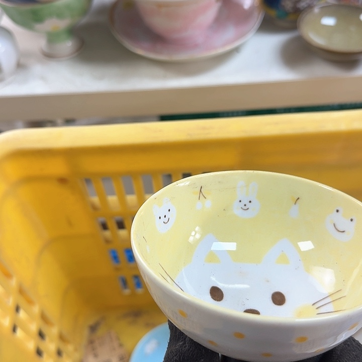 碗开播啦…..开播啦