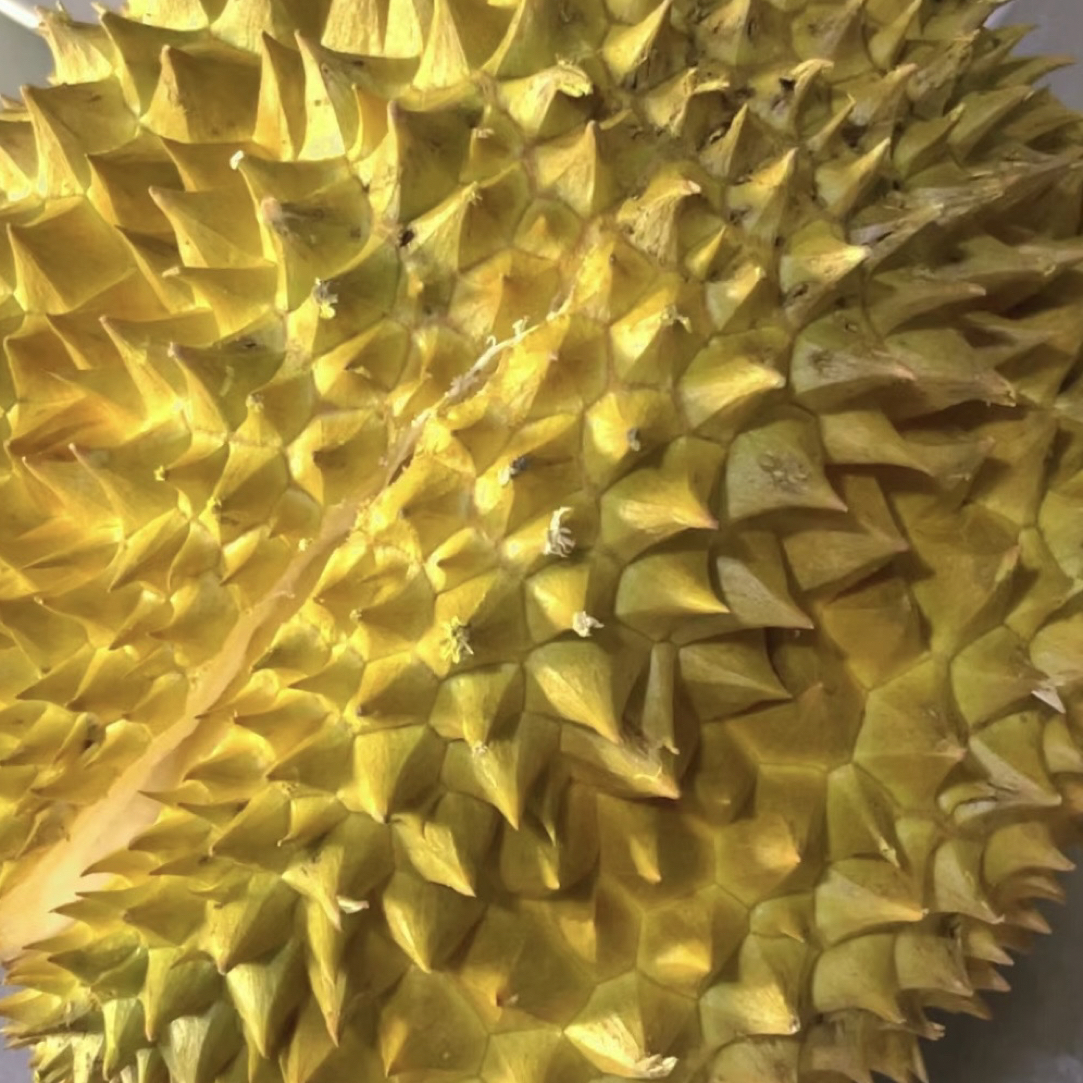 泰国金枕榴莲核小新鲜榴莲500g金枕泰国