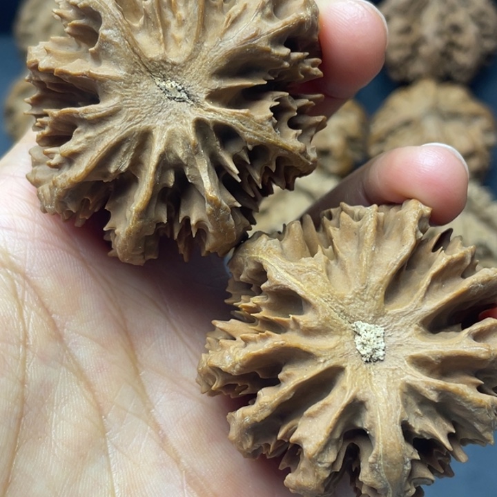 文玩核桃吊坠突突突突突突突