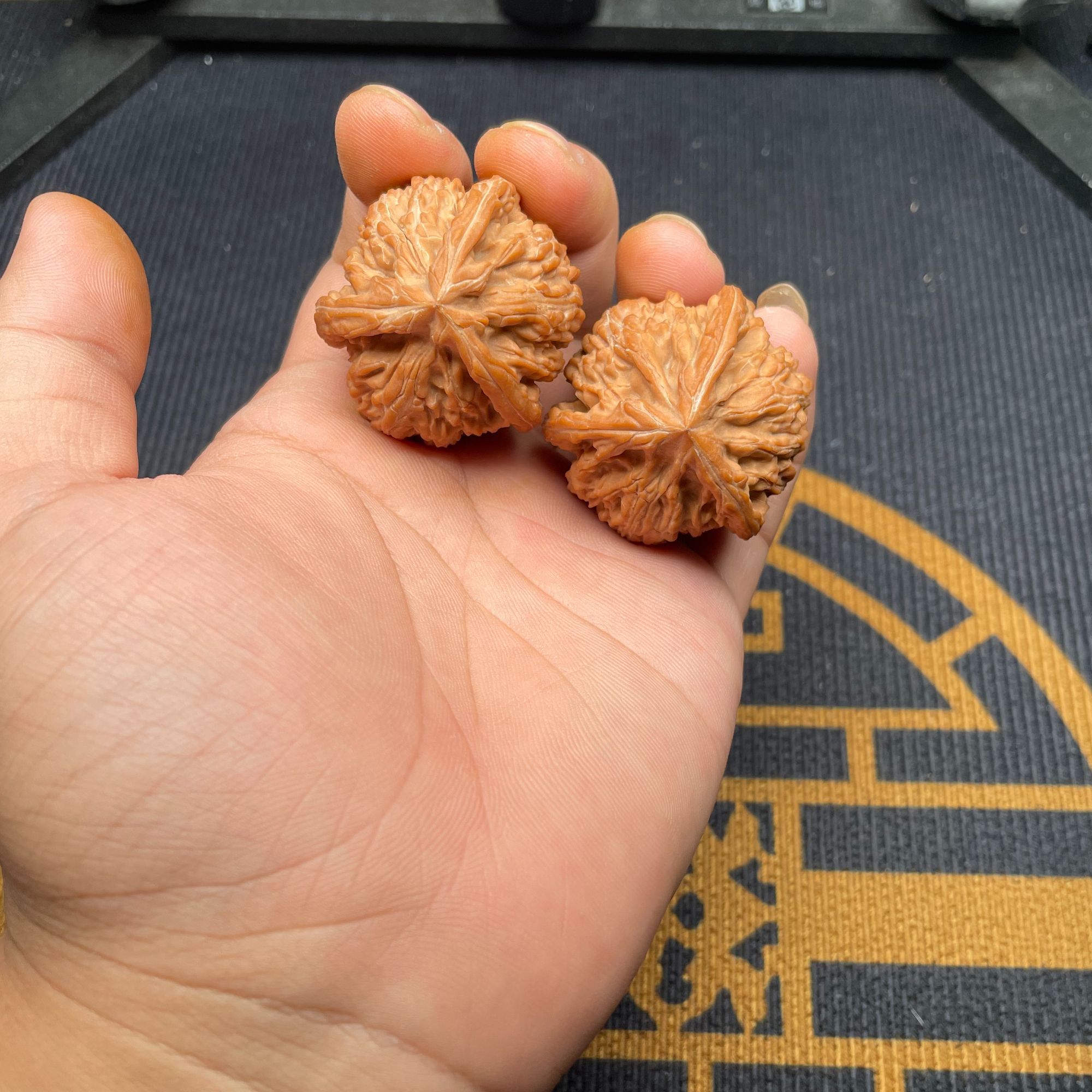 精品文玩核桃文山三棱，39.5尺