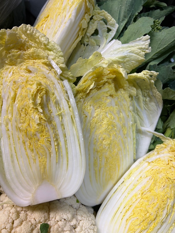 贵州高山高原黄心小白菜（娃娃菜）