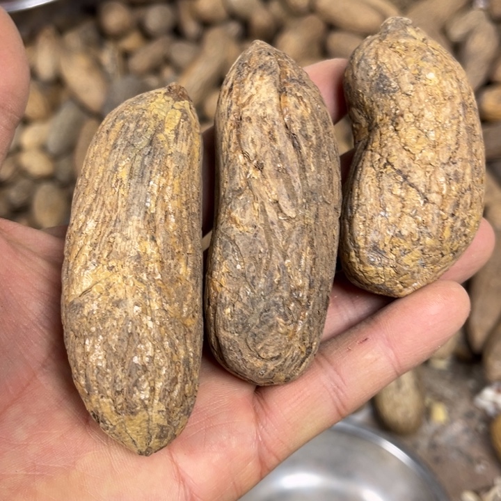 千眼菩提吊坠千眼菩提四十二号。