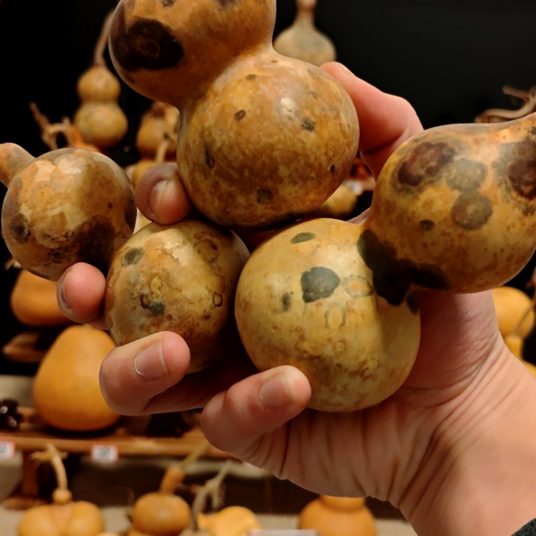 格***化直播间专拍葫芦葫芦