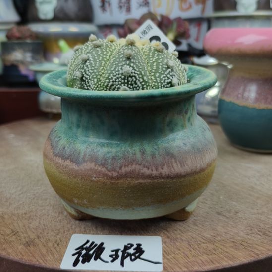 景德镇手工高温陶瓷：内口8(福利无垫片赠送哦，感谢理解)