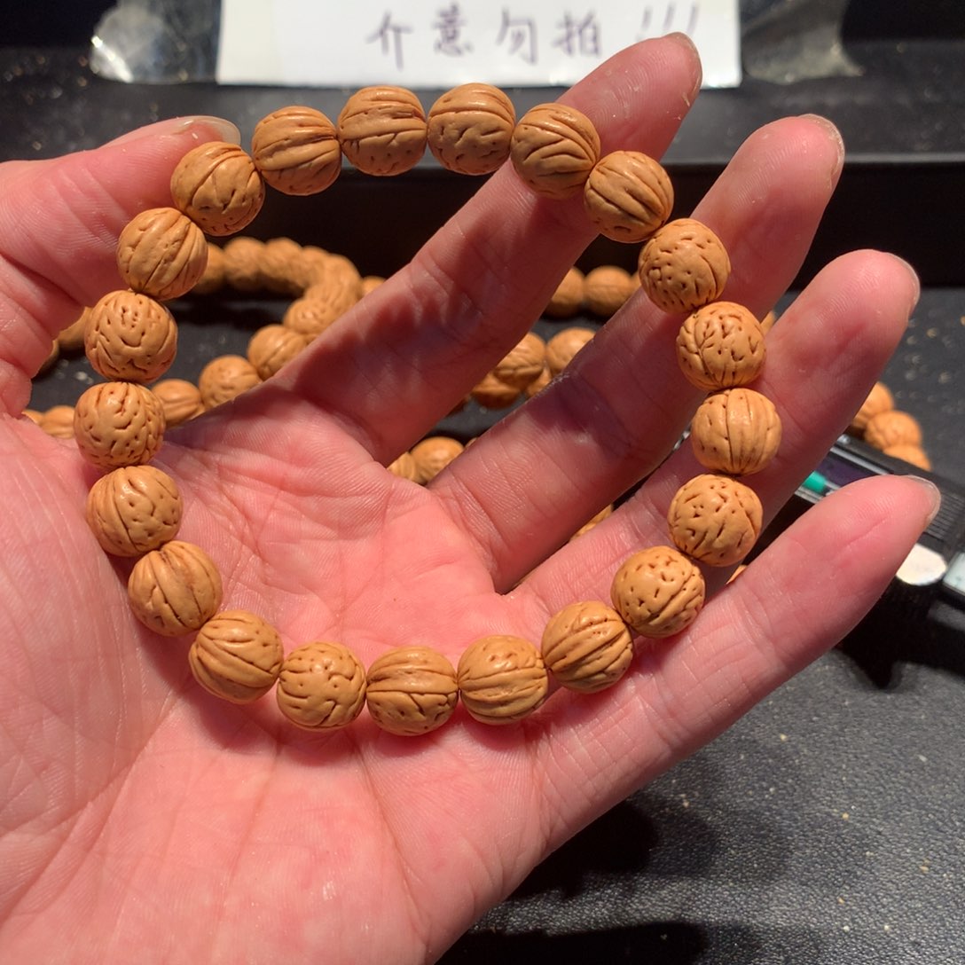 盘锦肌肉二十二链接