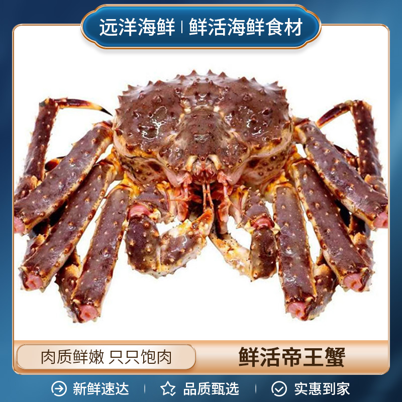 鲜活俄罗斯帝王蟹红蟹蓝蟹