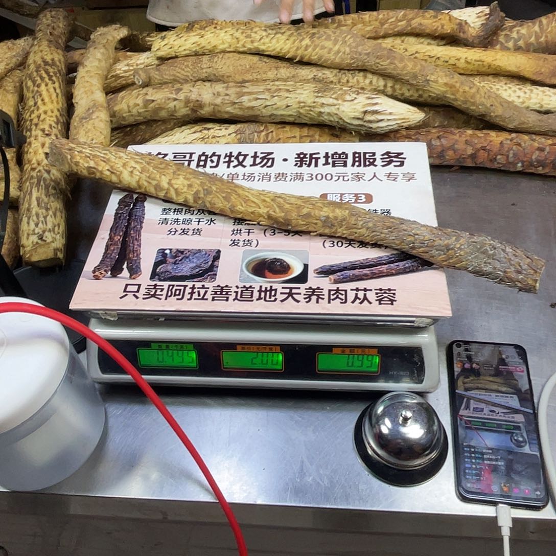 中国大陆495克52厘米