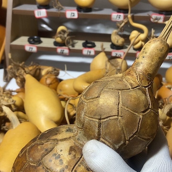 我***疵直播间里的拍品链接