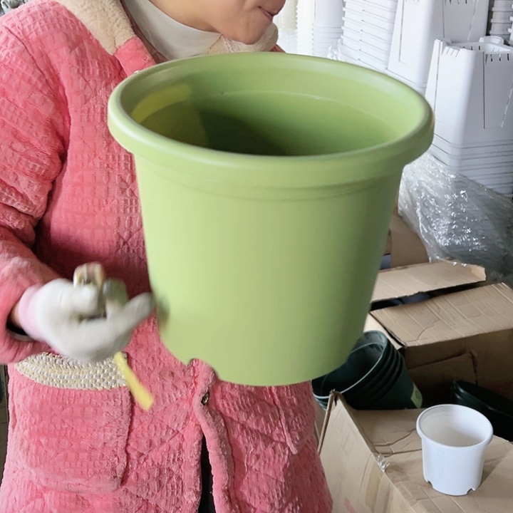 塑料四季盆5#果绿色5个无托