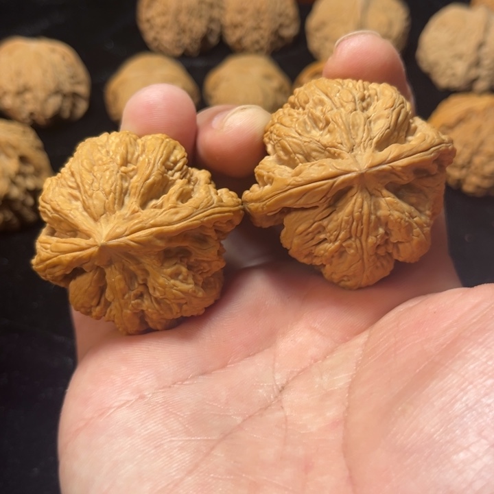 文玩核桃大粗筋45